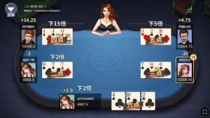 开云体育三公的进阶玩法