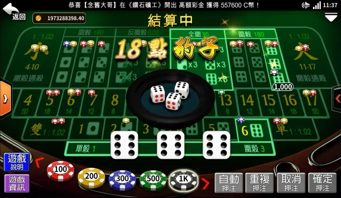 投注策略与技巧