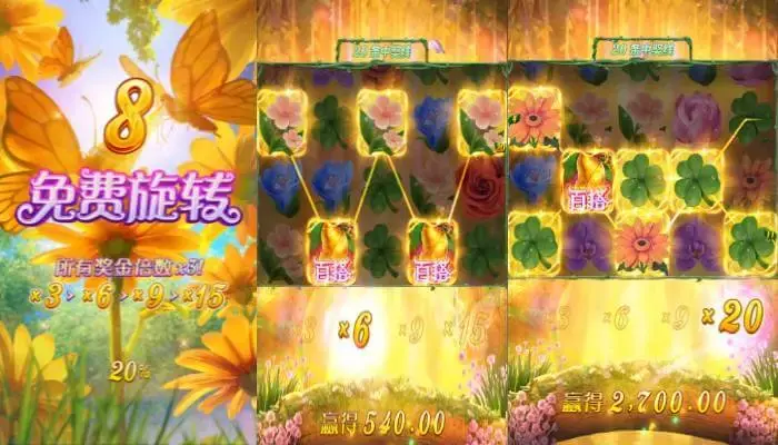 提高胜率的策略与技巧