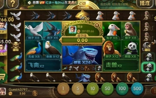 飞禽走兽的胜率策略与进阶思路